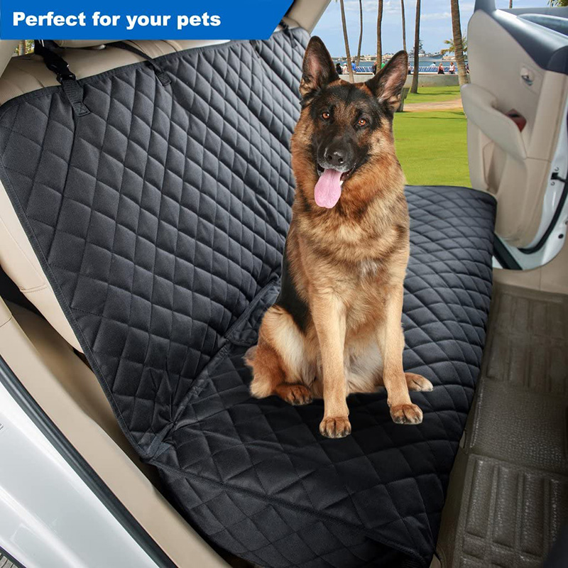 Top 10 Best Dog Car Seat Covers | Reviews & Buying Guide