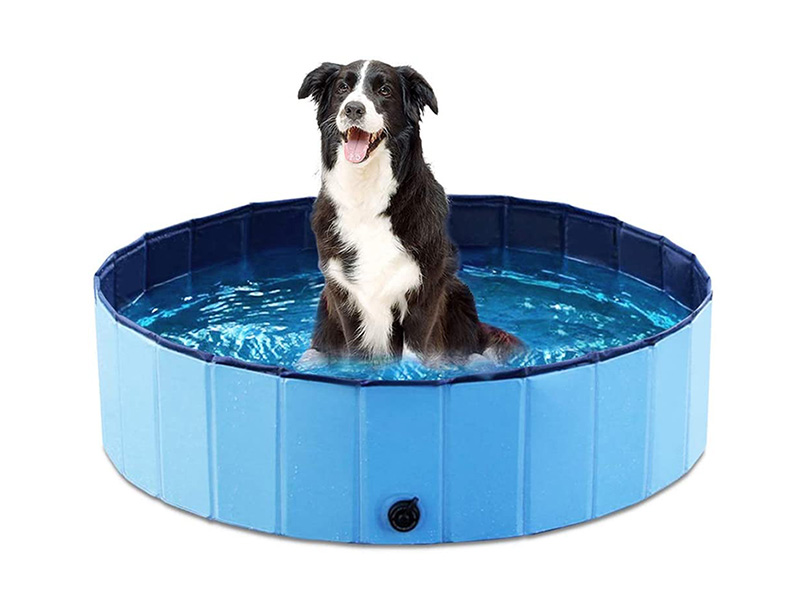 Top 10 Best Foldable Dog Pools ( Swimming Pools / Bathing Tubs)  Reviews