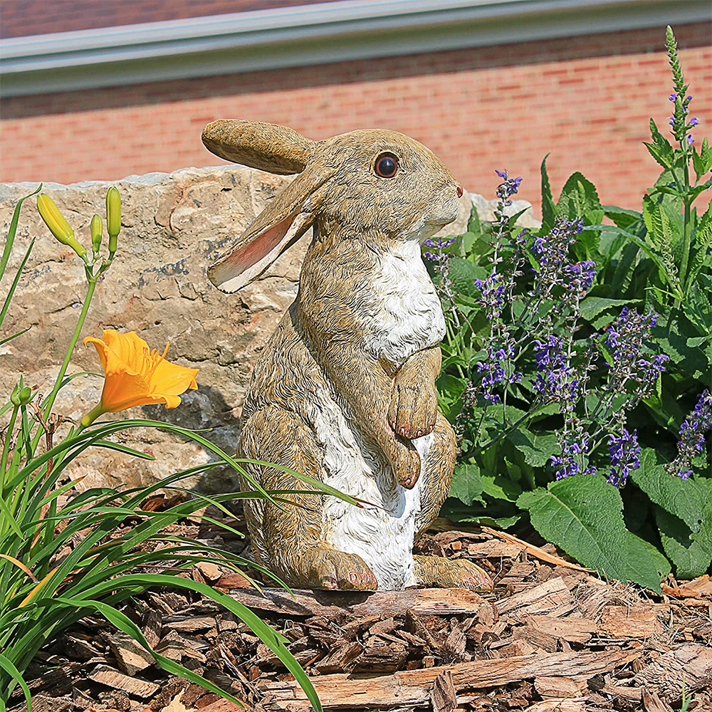Top 10 Best Rabbit Outdoor Garden Statues Reviews